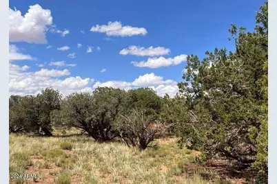 4062 Apache Road #593 and 594, Snowflake, AZ 85937 - Photo 1