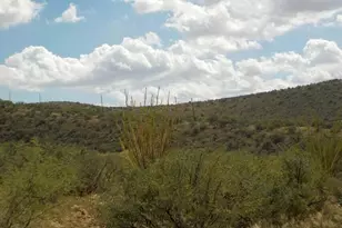 1563 Camino Bacalao, Rio Rico, AZ 85648 - Photo 1