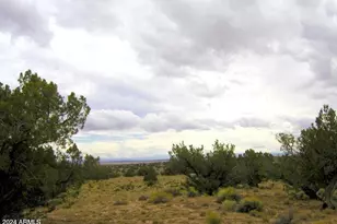 22 Cr N7101 --, Saint Johns, AZ 85936 - Photo 1