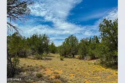 32424 W Camino Oso -- #1908, Seligman, AZ 86337 - Photo 1
