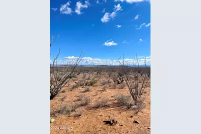 Tbd W 39.918 Ac Lot 23 -- W #23, Douglas, AZ 85607 - Photo 1