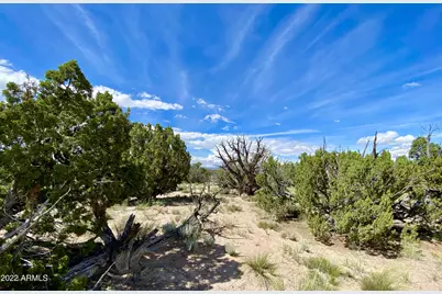 Tbd N6112 -- #-, Saint Johns, AZ 85936 - Photo 1
