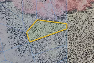 358 Woodland Valley Ranch Dr, Saint Johns, AZ 85936 - Photo 1