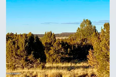 8418 Ridge Drive #-, Show Low, AZ 85901 - Photo 1