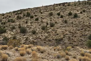 Mm75 E Interstate 40 Dr, Kingman, AZ 86401 - Photo 1