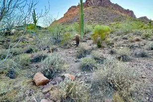 0000 N Bear Paw Pass, Queen Creek, AZ 85142 - Photo 1