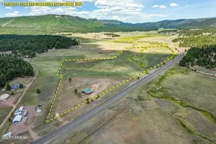 42856 US Hwy 180 --, Alpine, AZ 85920 - Photo 1