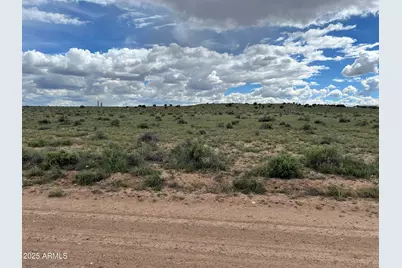Tbd 40 Acres Carrizo Ranch -- #249, Saint Johns, AZ 85936 - Photo 1