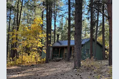 6640 Mormon Lake, Mormon Lake, AZ 86038 - Photo 1