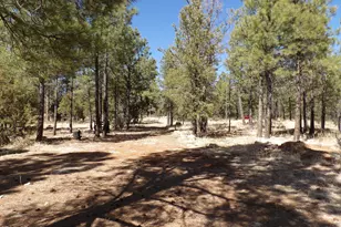 3900 Morning View, Happy Jack, AZ 86024 - Photo 1