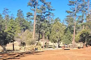 5452 Red Squirrel Ln, Lakeside, AZ 85929 - Photo 1