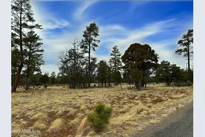 4109 Durango Drive #295, Happy Jack, AZ 86024 - Photo 1