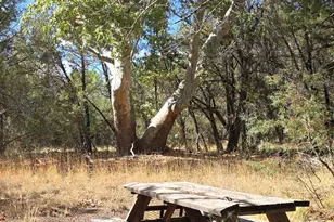 772 E Naegelin Crossing, Young, AZ 85554 - Photo 1