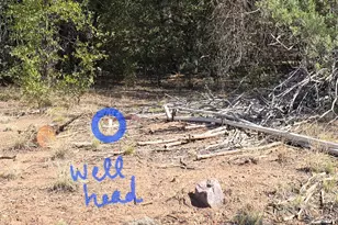 16E Naegelin, Young, AZ 85554 - Photo 1