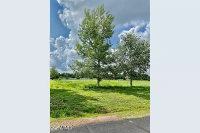 2341 Quarter Horse, Overgaard, AZ 85933 - Photo 1