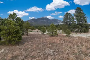 9025 N Snow Bowl Ranch Rd, Flagstaff, AZ 86001 - Photo 1