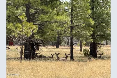 Lot 2 N Quintana Drive #2, Flagstaff, AZ 86001 - Photo 4