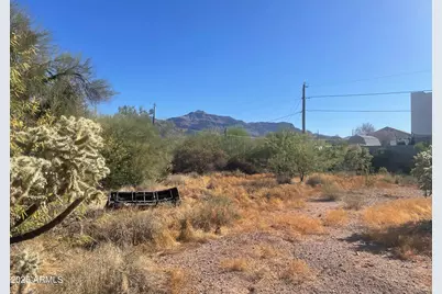 6105 S Alameda Road #169, Gold Canyon, AZ 85118 - Photo 1