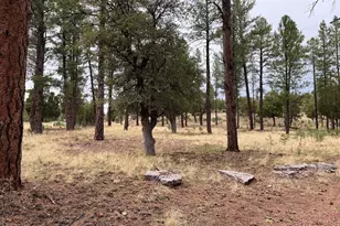 Tbd N State Route 87 --, Pine, AZ 85544 - Photo 1