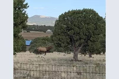 842 Vernon County Road #-, Vernon, AZ 85940 - Photo 1