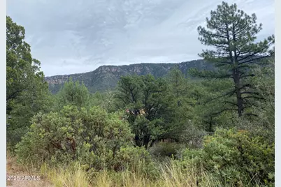 186 N Trails End Drive #186, Pine, AZ 85544 - Photo 1