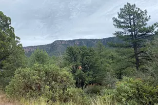 186 N Trails End Dr, Pine, AZ 85544 - Photo 1