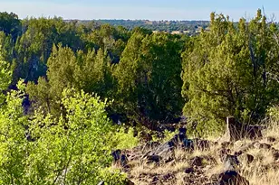 1528 Falcon Rd Lot A 10 33 Acres, Show Low, AZ 85901 - Photo 1
