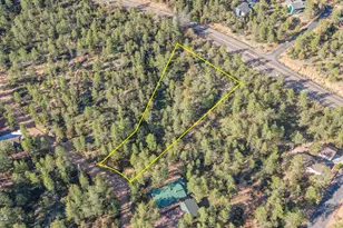 Lot 4 N Pine Hollow, Pine, AZ 85544 - Photo 1