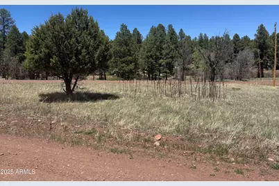 527 Summit, Pinedale, AZ 85934 - Photo 1