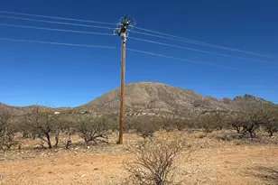 372 Calle Buzo --, Rio Rico, AZ 85648 - Photo 1