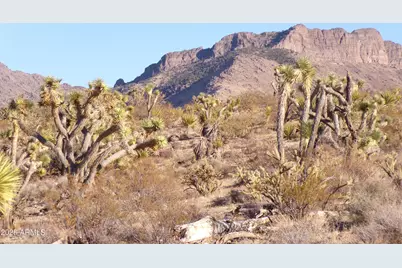 17096 N Manor, Dolan Springs, AZ 86441 - Photo 1