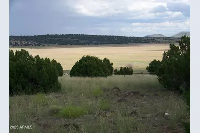 Lot 253 N8640, Concho, AZ 85924 - Photo 1