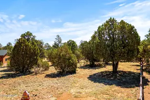 3327 Sawmill Ridge, Heber, AZ 85928 - Photo 1