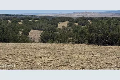 Lot #9 Big Six Ranches, Concho, AZ 85924 - Photo 1
