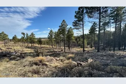 806 Eagle View, Happy Jack, AZ 86024 - Photo 1