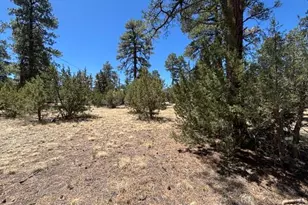 Tbd Between 2901 & 2905 Pine Rim, Overgaard, AZ 85933 - Photo 1