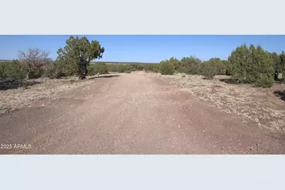 Tbd 304-12-020 A & B Drive #14, Show Low, AZ 85901 - Photo 1
