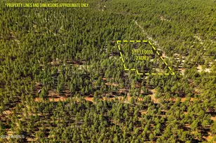 D-Tbd Birdsong, Lakeside, AZ 85929 - Photo 1