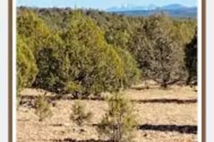 00Xx N Edwards Ranch Rd 327 Rd, Ash Fork, AZ 86320 - Photo 1