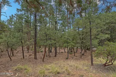 98 Trail End, Pine, AZ 85544 - Photo 1
