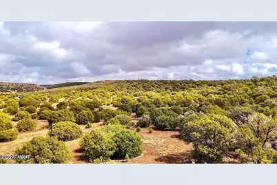 Tbd Co Rd 8256 Lot D 10 Acres #-, Concho, AZ 85924 - Photo 1