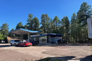 691 E White Mountain, Pinetop, AZ 85935 - Photo 1