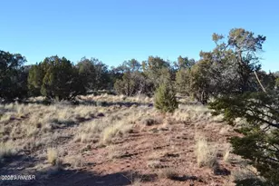 5450 County Line, Snowflake, AZ 85937 - Photo 1