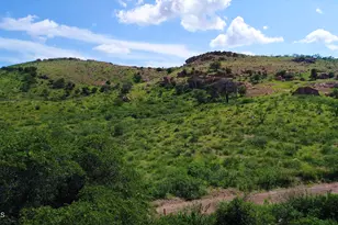 Lot 41 N Hidden Oaks Trail 39 Acres --, Douglas, AZ 85607 - Photo 1