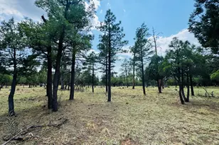 3266 Durango, Happy Jack, AZ 86024 - Photo 1