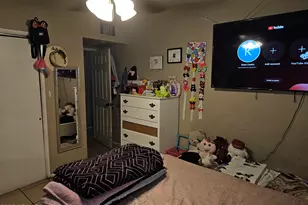 335 S Lesueur --, Mesa, AZ 85204 - Photo 10