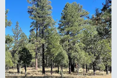 2634 San Juan, Happy Jack, AZ 86024 - Photo 1