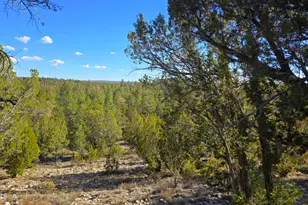 2947 E Lookout, Overgaard, AZ 85933 - Photo 1