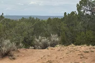 Lot 78 Witch Well Ranches --, Saint Johns, AZ 85936 - Photo 1