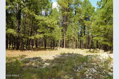5131 Forest Service Road 137A Road #Prcl40375003B A & B, Happy Jack, AZ 86024 - Photo 1